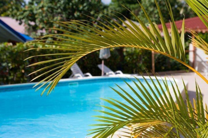Hotel Le Rotabas Sainte-Anne  Kültér fotó