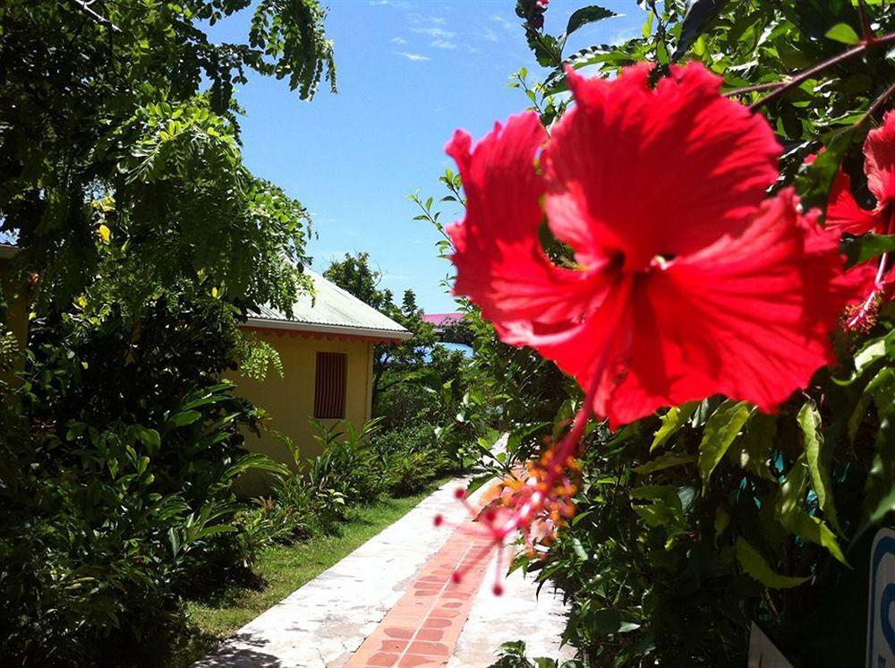 Hotel Le Rotabas Sainte-Anne  Kültér fotó